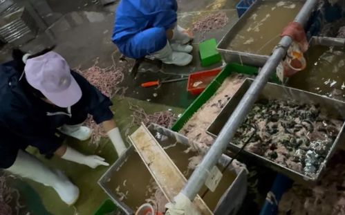 李主任 是誰 李主任 還是 利主任 ,該有個(gè)答案