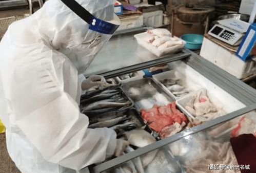 曝光 任城區(qū)公布違反疫情防控進(jìn)口冷鏈?zhǔn)称放c挖掘裝載機(jī)事件